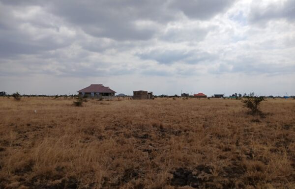 The rapidly developing residential area dominated with single dwelling bungalows and maisonnettes on eighth acre plots.