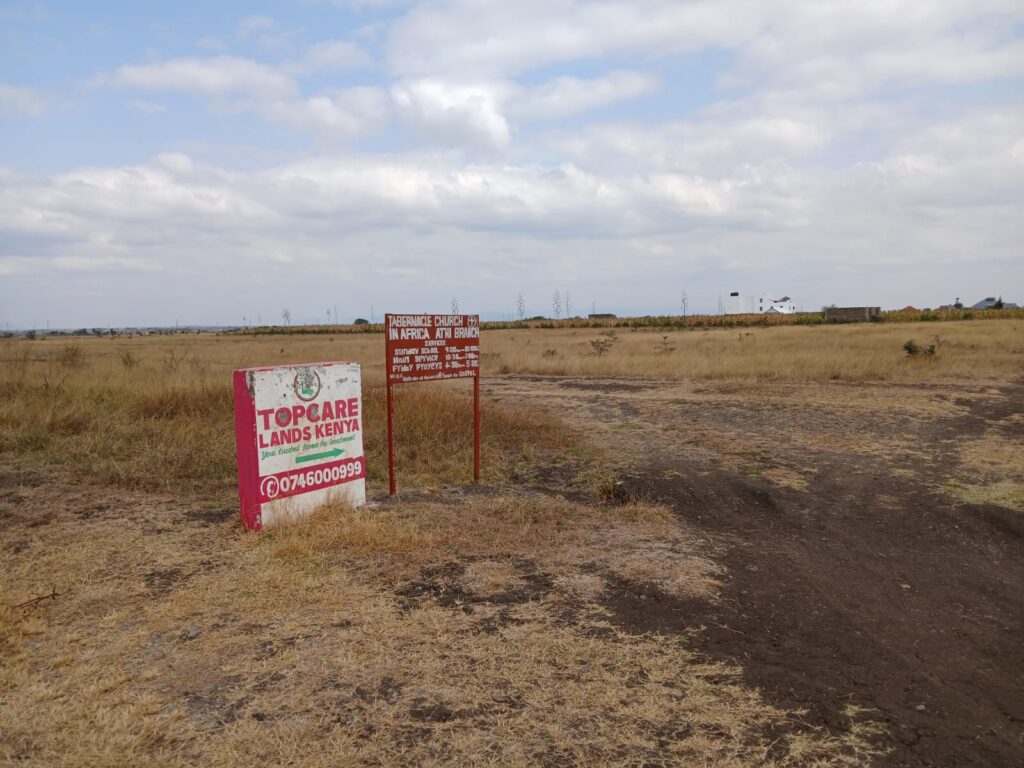 WhatsApp Image 2025-08-04 at 07.50.33