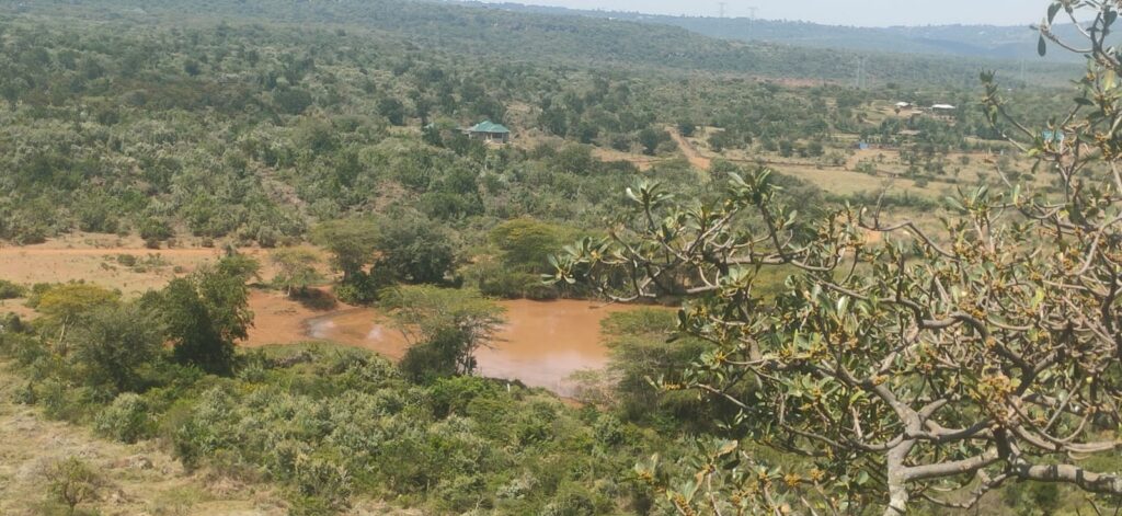 WhatsApp Image 2025-11-28 at 11.45.56