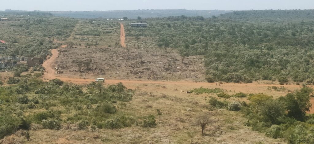 WhatsApp Image 2025-11-28 at 11.45.57 (1)