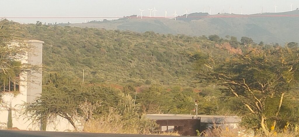 Kimuka with backdrop of Ngong Hills