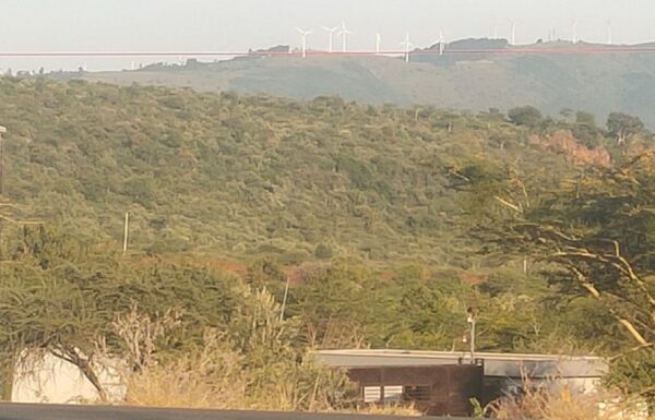 Kimuka with backdrop of Ngong Hills