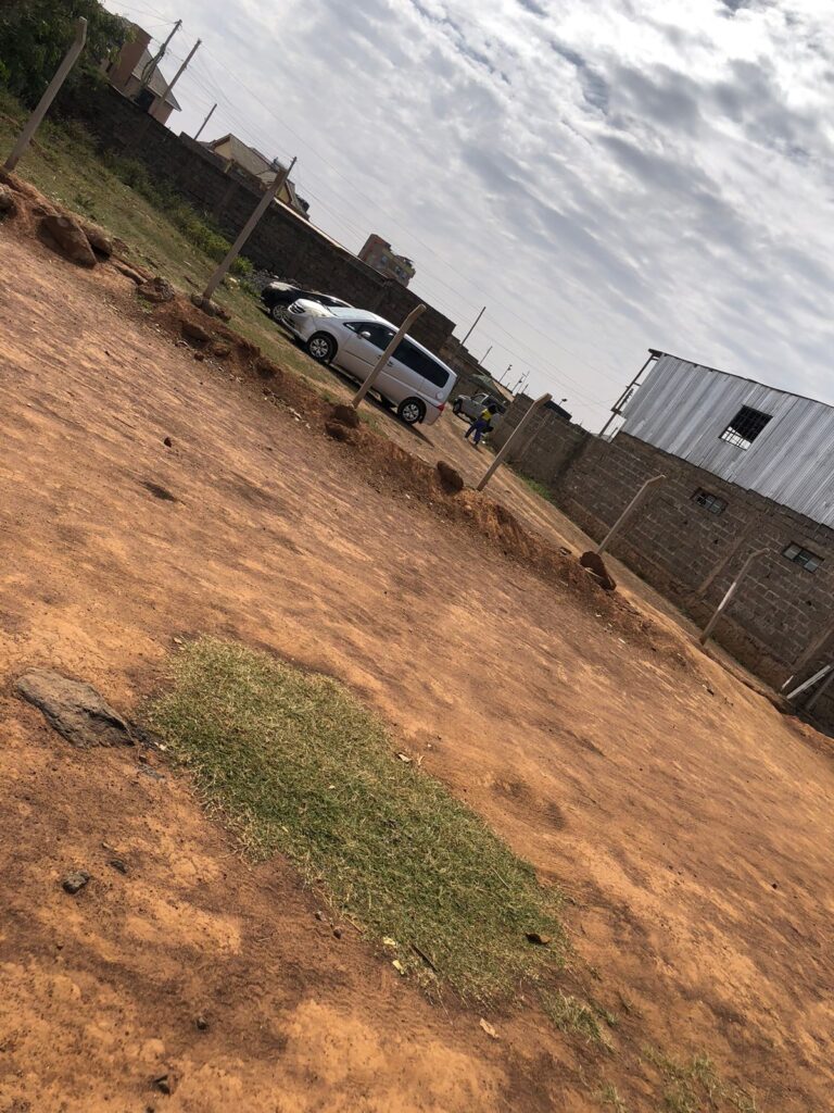 WhatsApp Image 2026-01-12 at 12.33.31