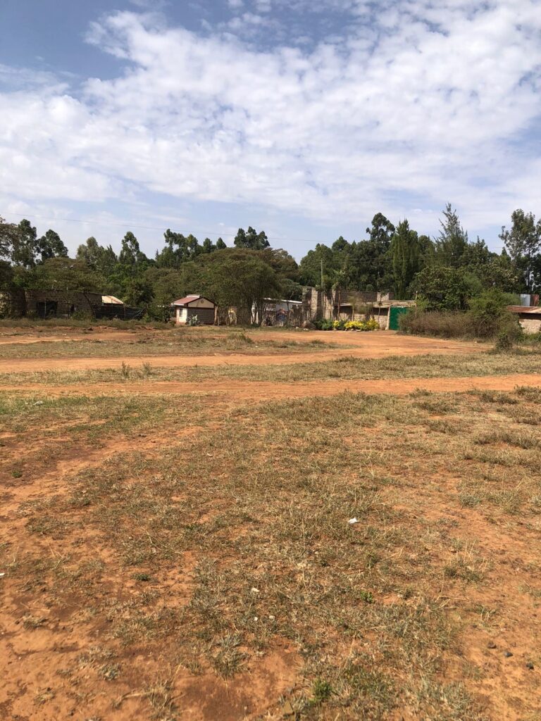 WhatsApp Image 2026-01-12 at 12.33.32