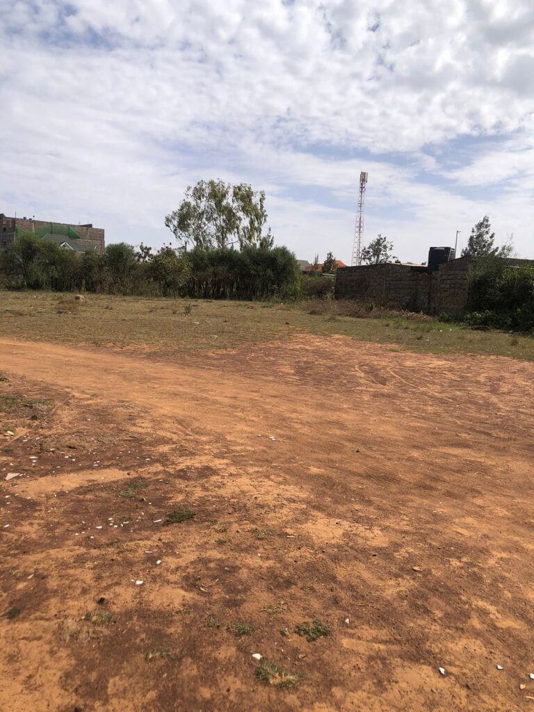 WhatsApp Image 2026-01-12 at 12.33.33